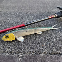 Westin Twinteez Pelagic V-Tail R&R 21cm/70g